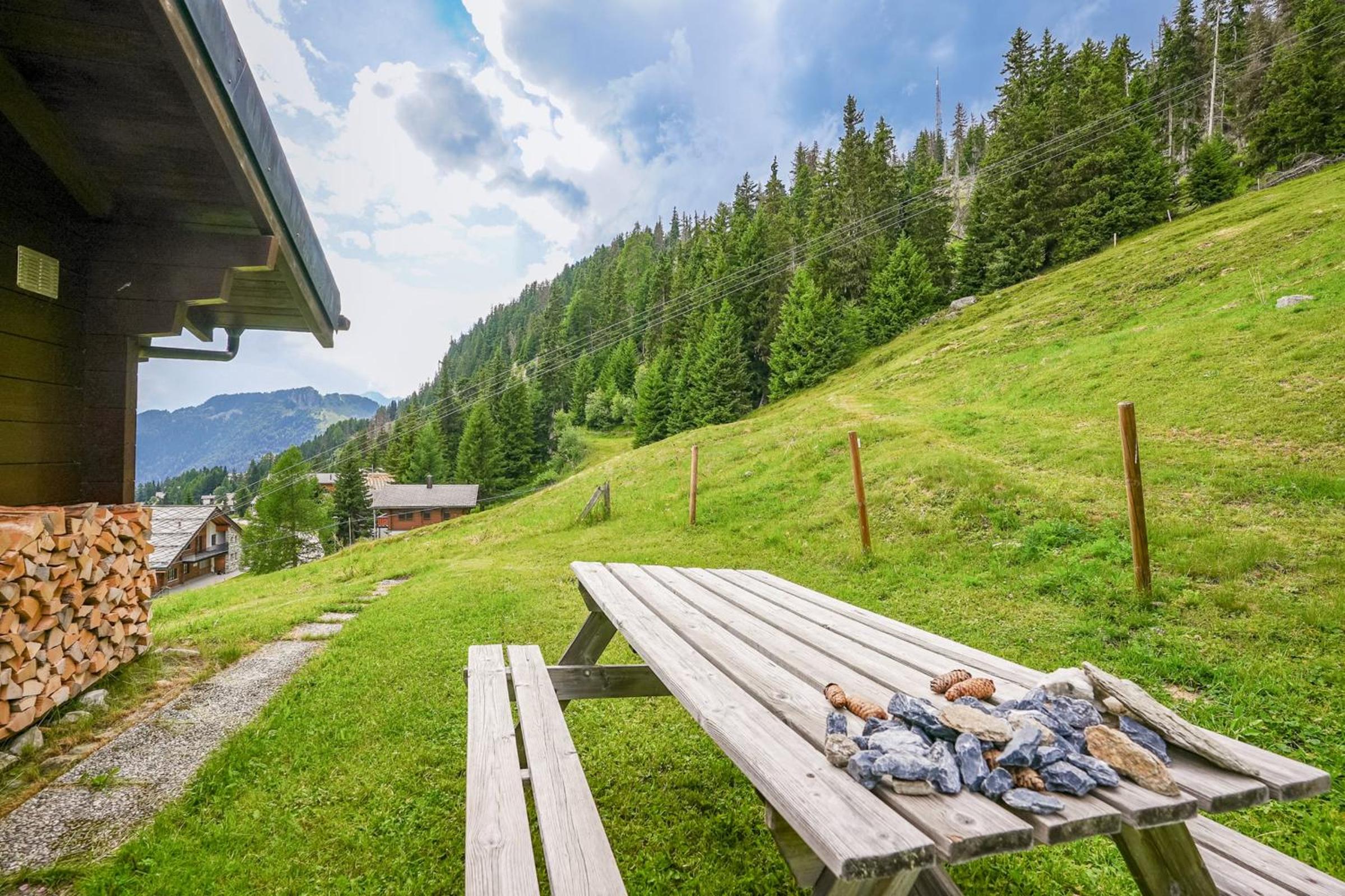 Chalet Lieke Apartment