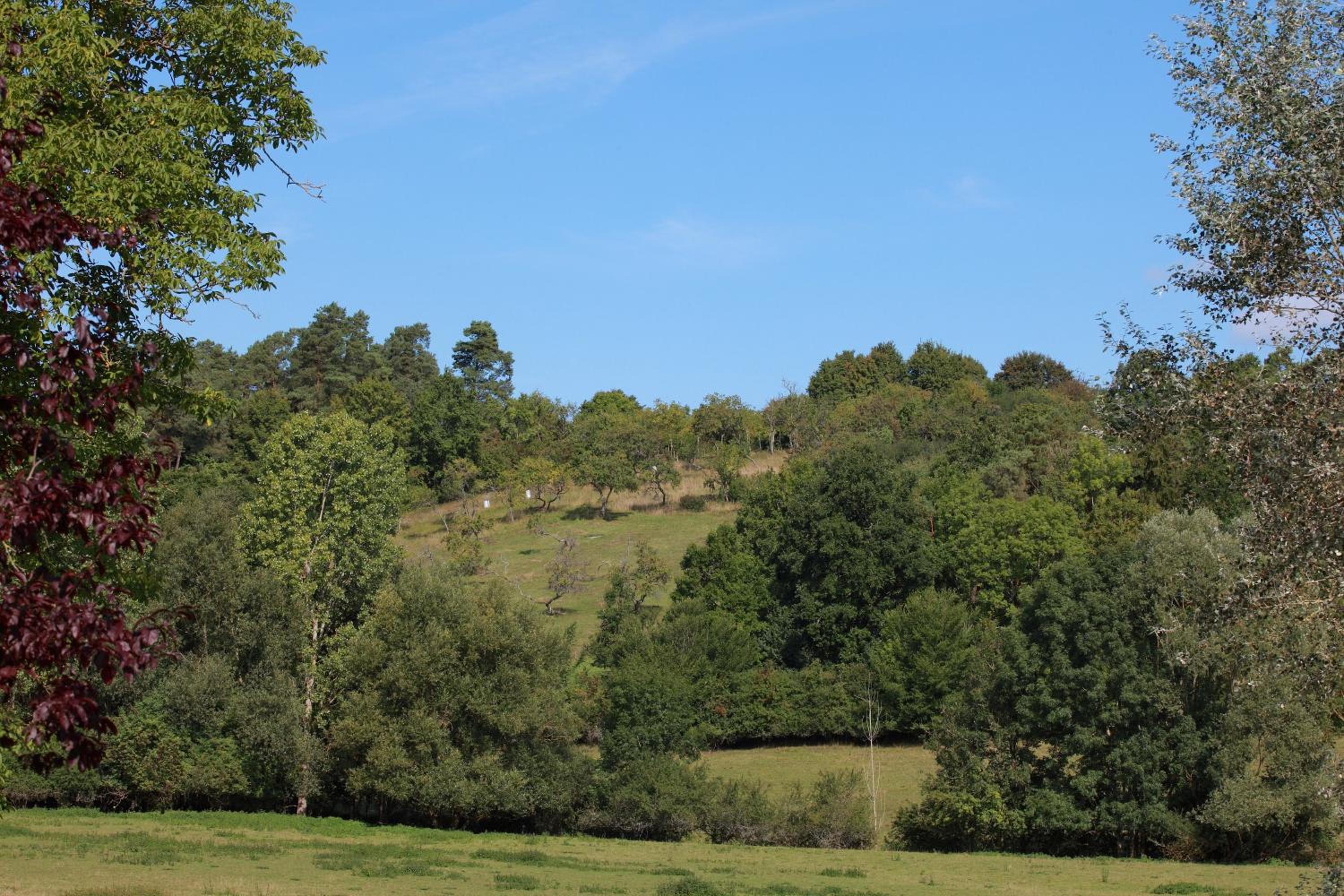 Auberge Du Parc