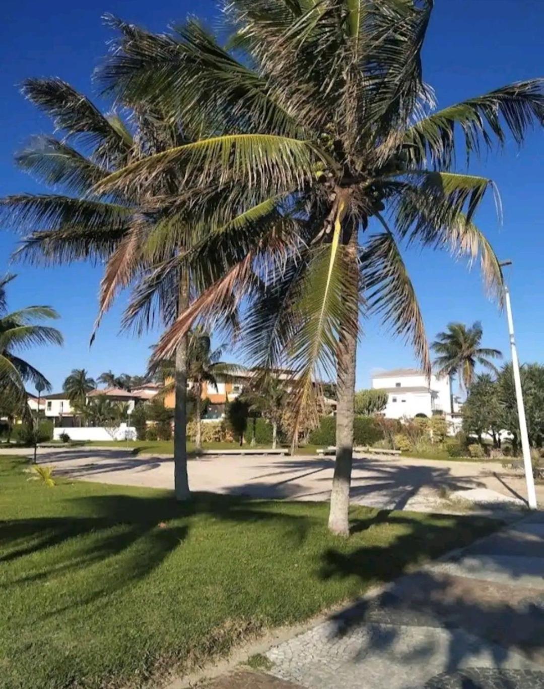 Apart Hotel Alecrim Praia de Camboinhas com Marina pe na areia