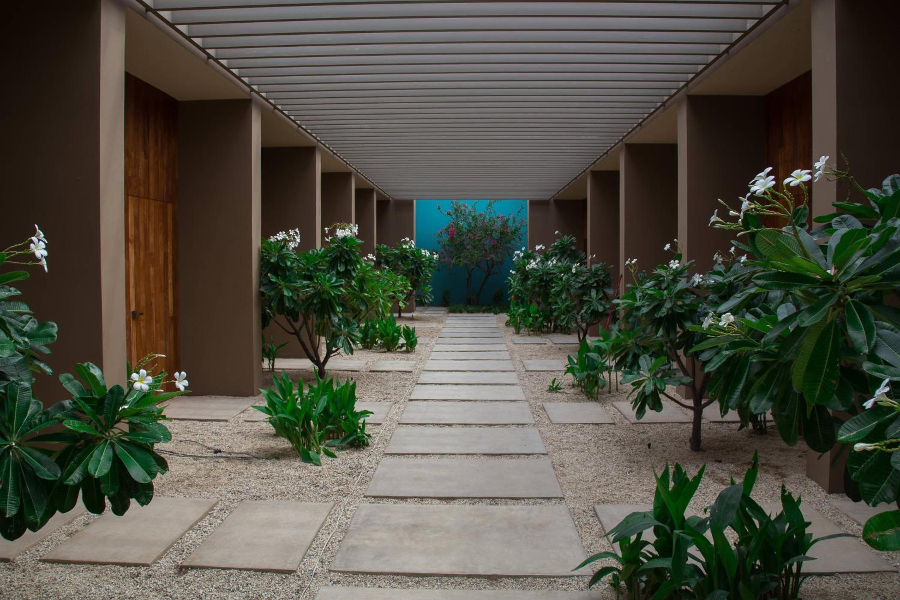 Los Cabos Vacations - JW Marriott Los Cabos Beach Resort  Spa - Property Image 67