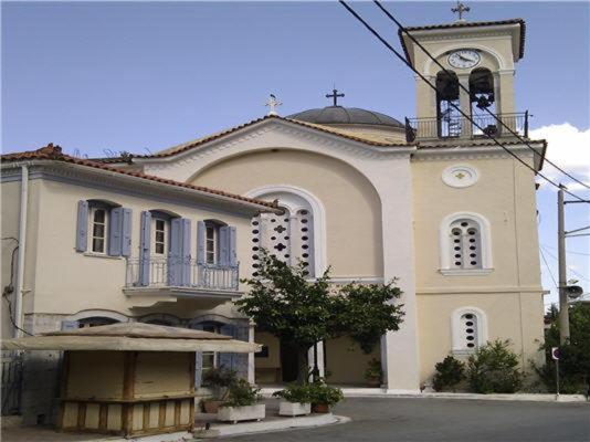 Photo 51