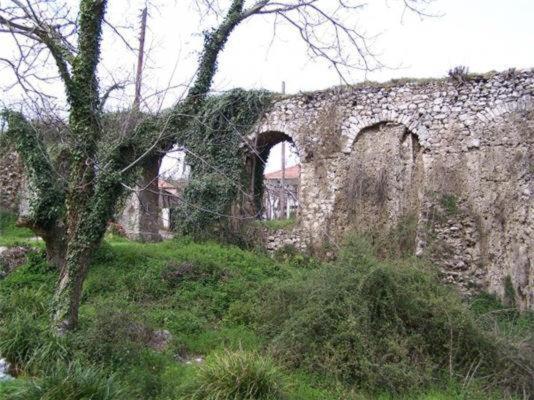 Photo 61