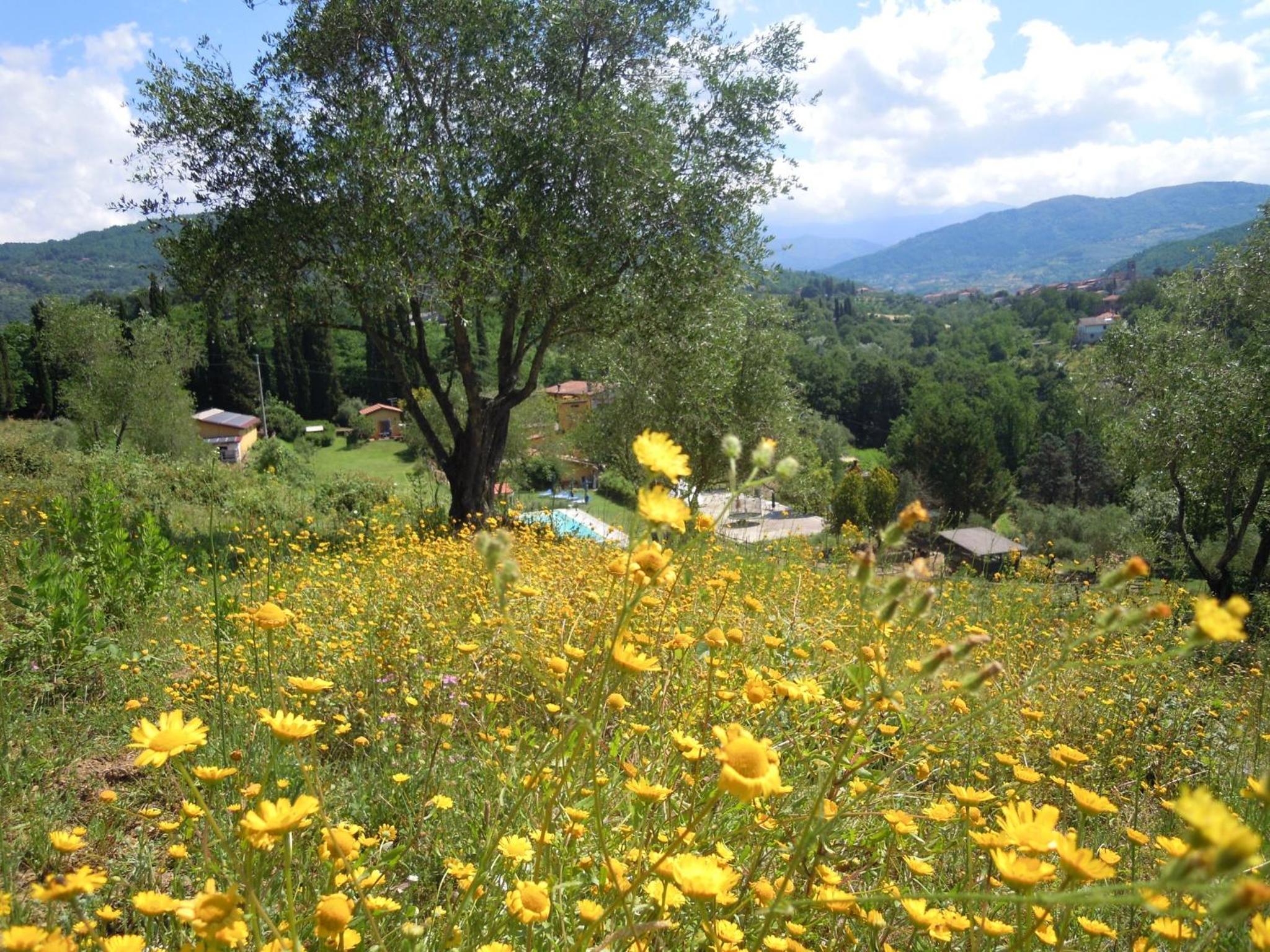 Podere La Piana
