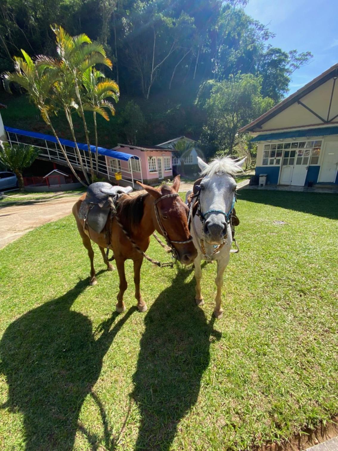 Hotel Fazenda Bonanza