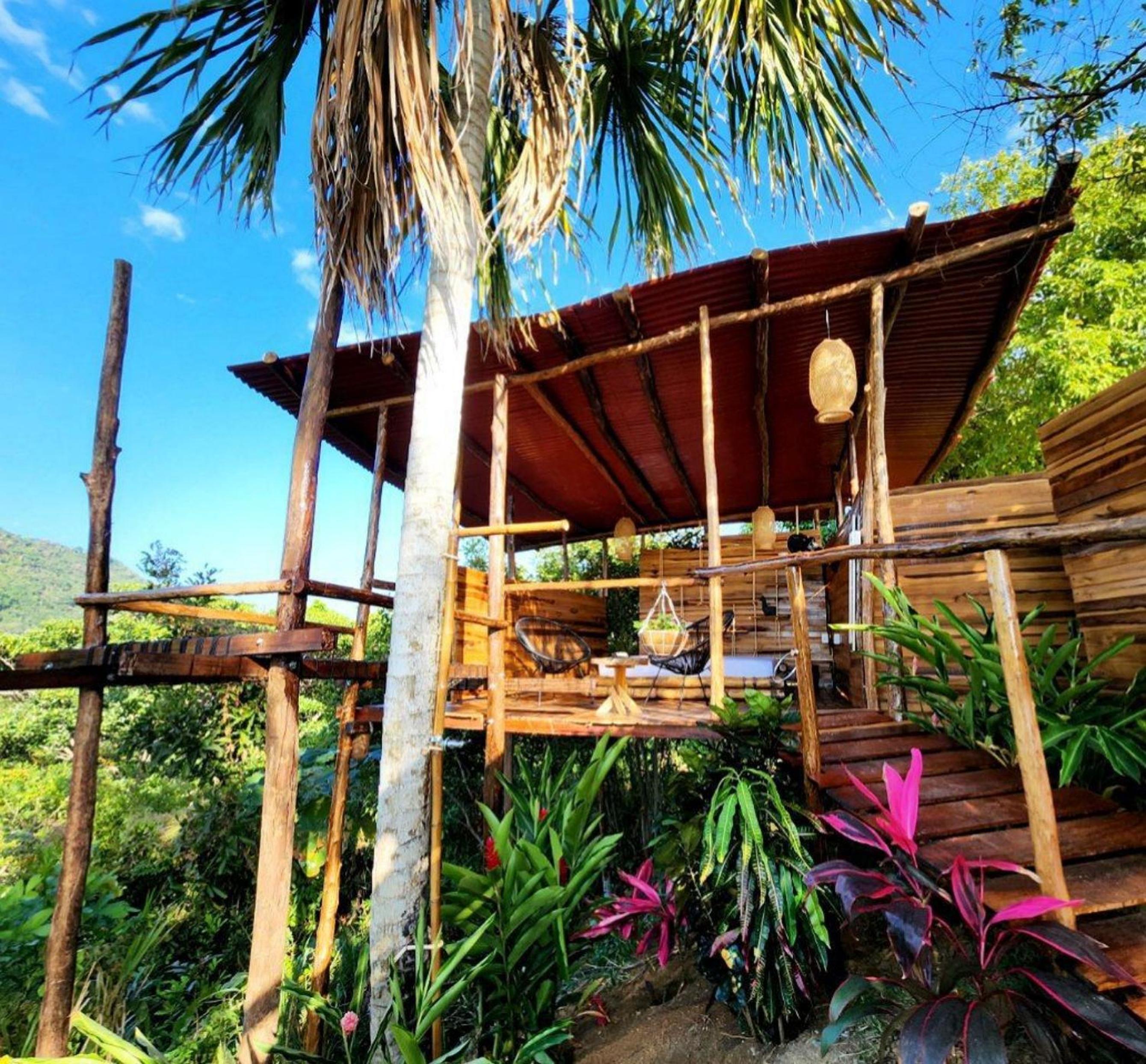 The Valley Tayrona hostel- A social jungle hostel
