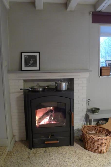 La ferme aux oiseaux B&B