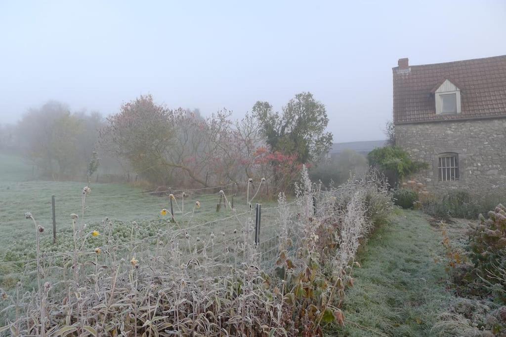 La ferme aux oiseaux B&B