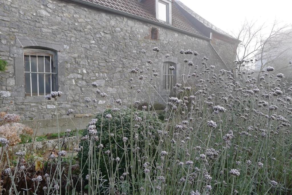 La ferme aux oiseaux B&B