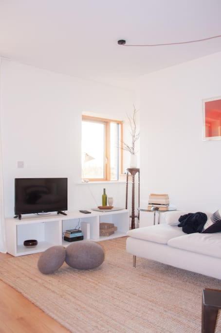 2 bed 2 bath Apartment with Canal View