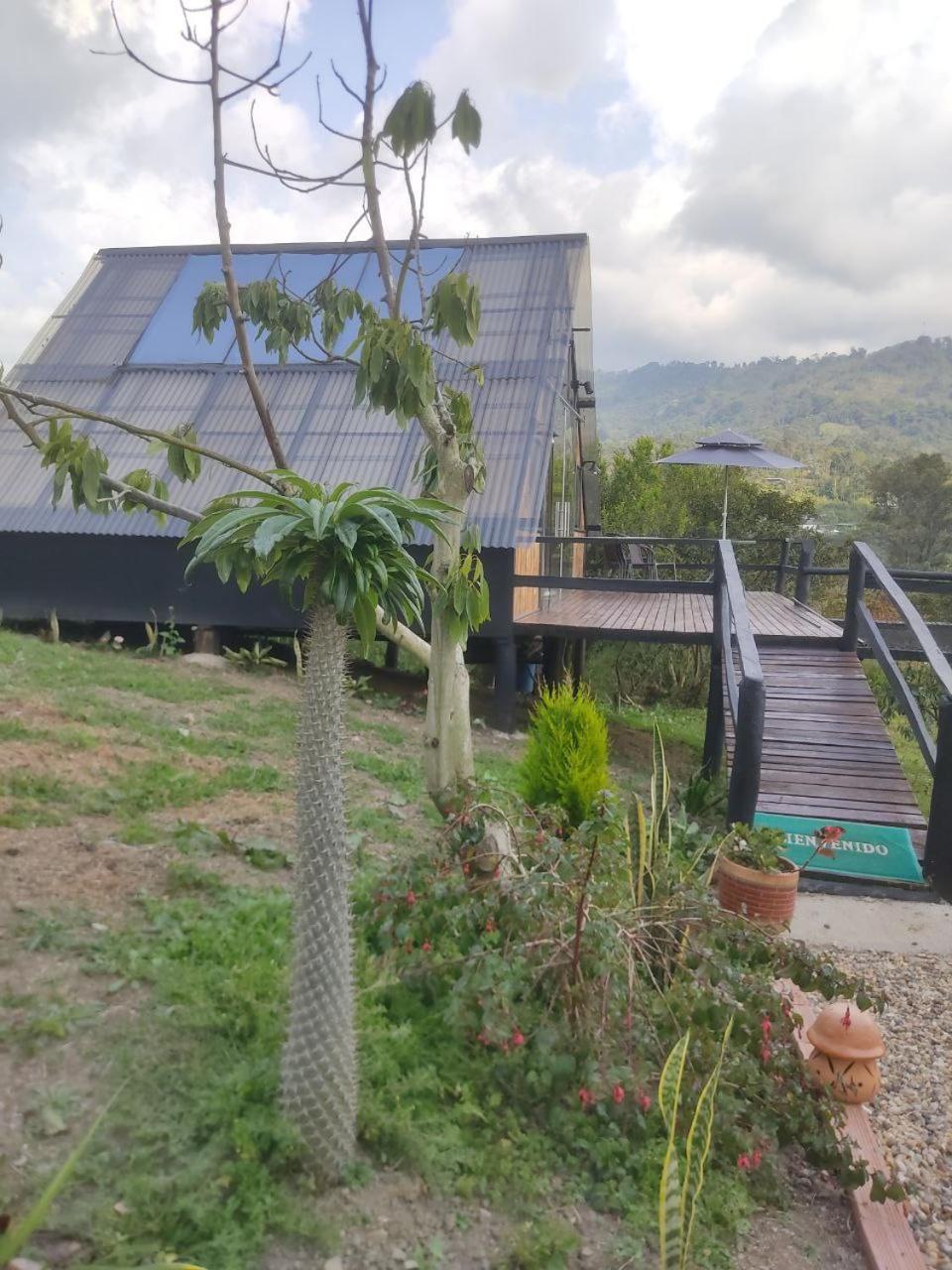 Wallaby Glamping