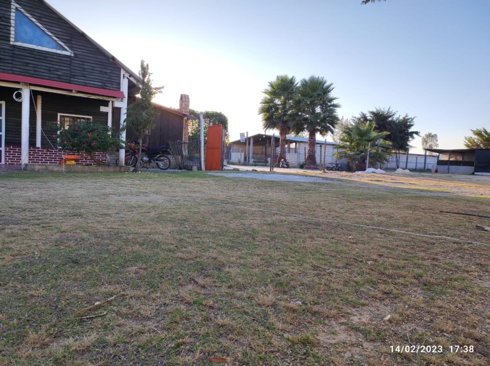 Photo 6