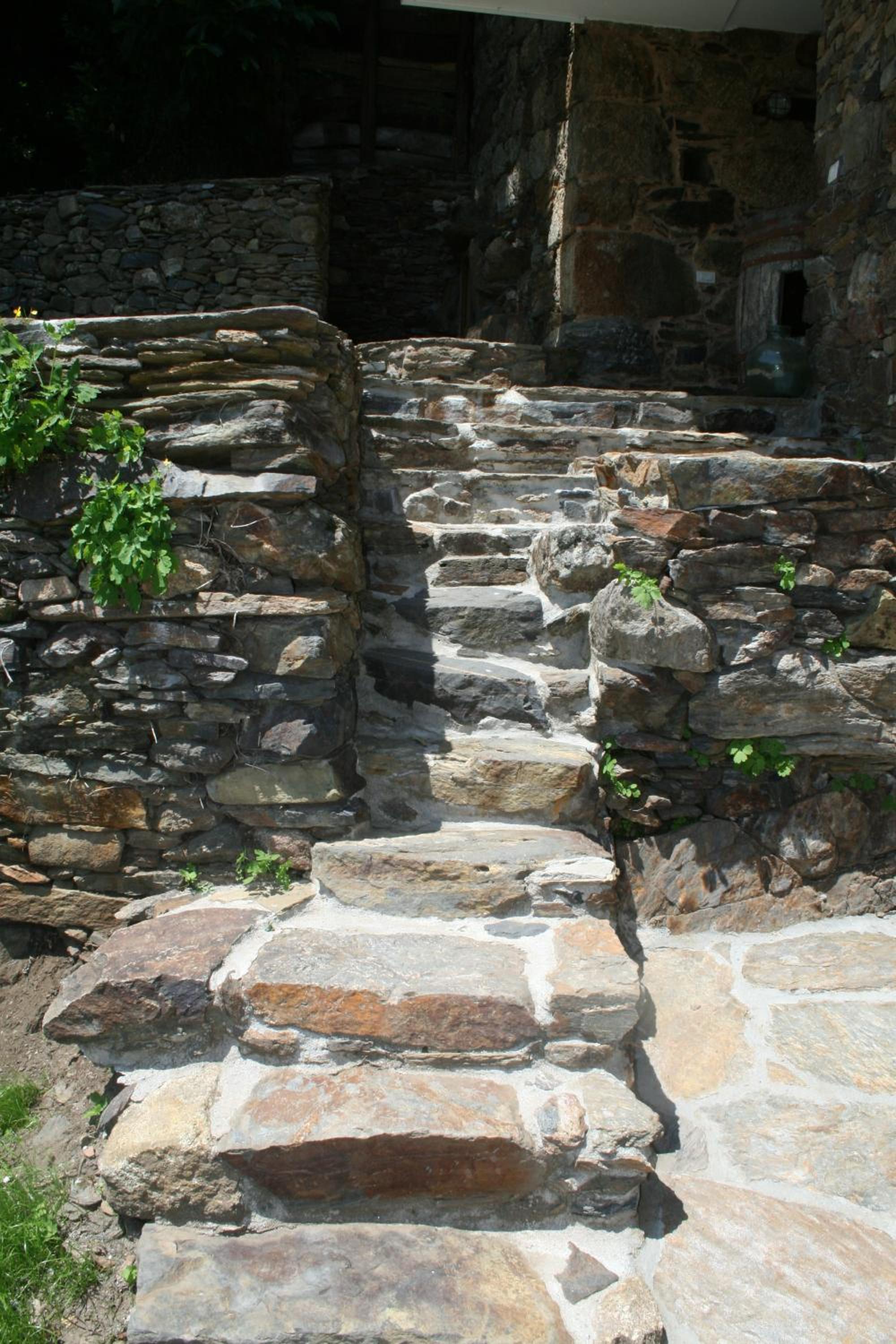 Photo 48