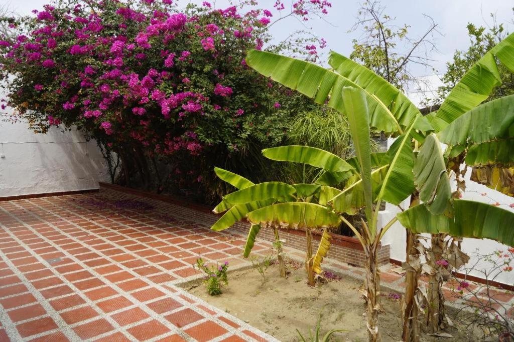 Hotel Mar di Plata