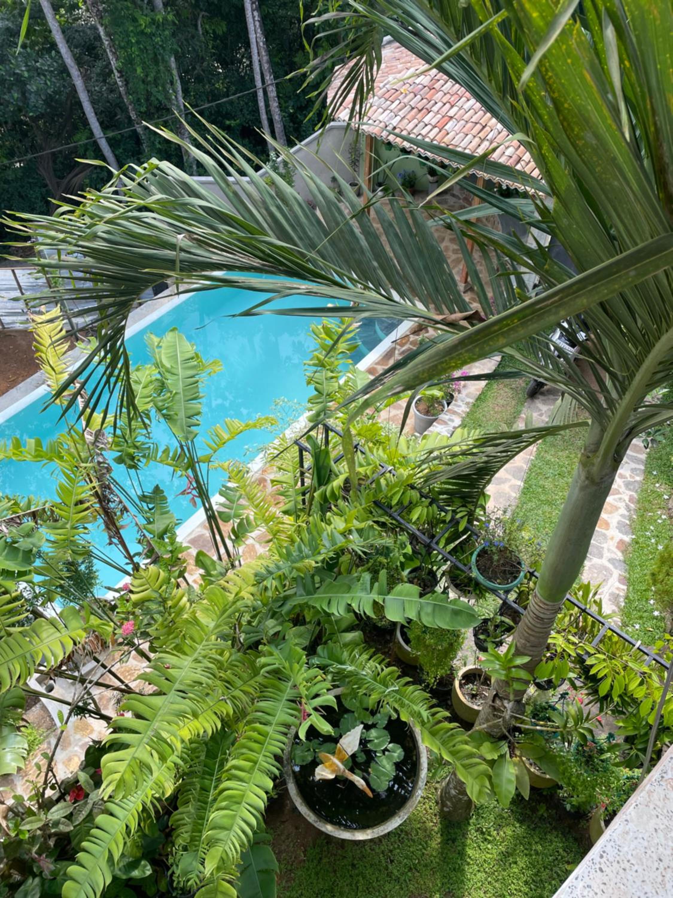 Bouganvilla House