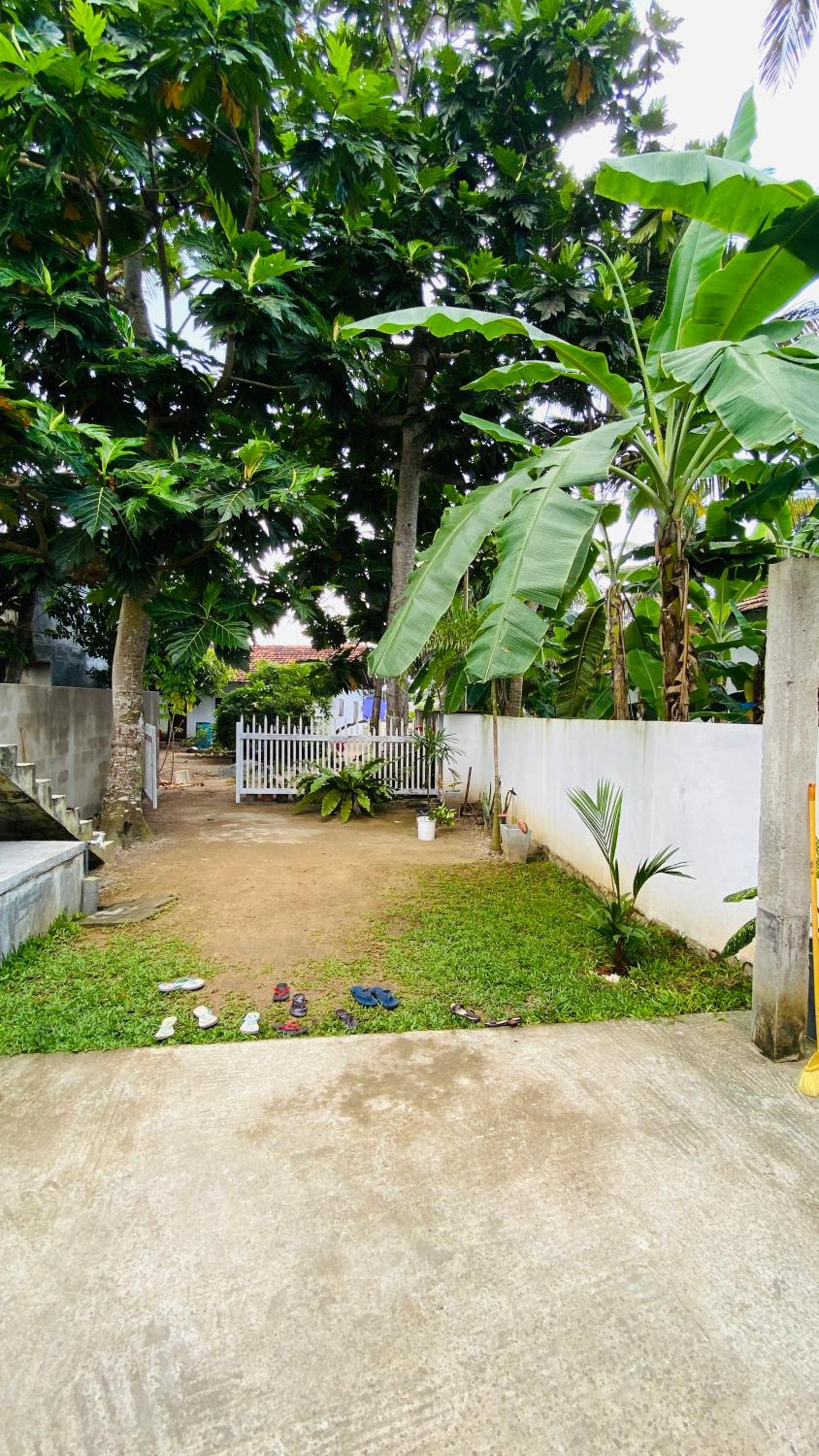 Villa Mallika Ahangama view 5