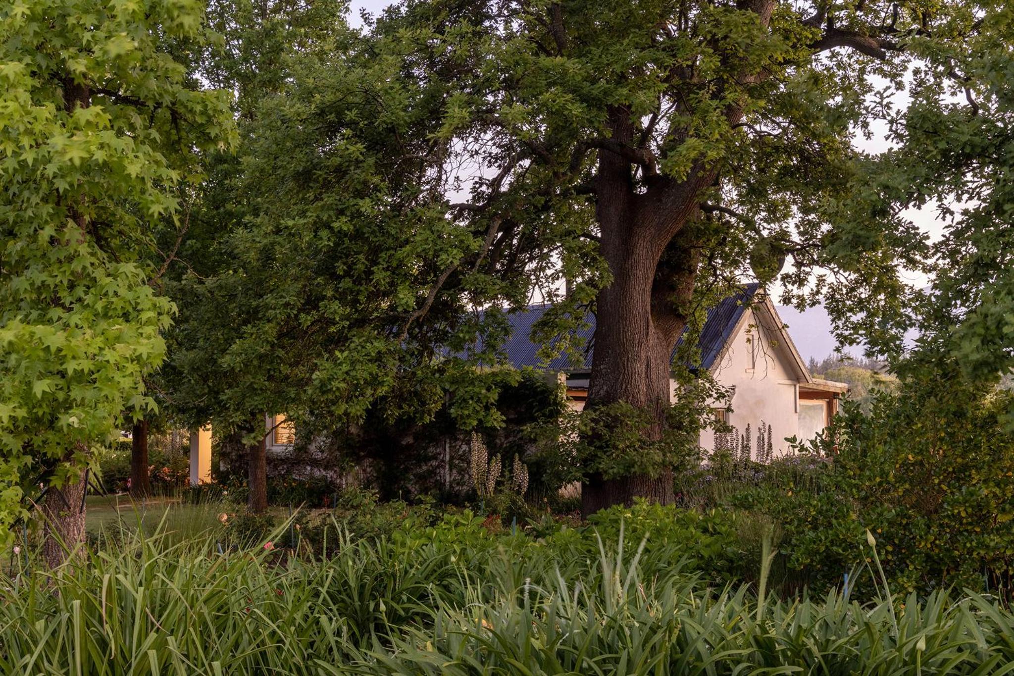 Photo 26