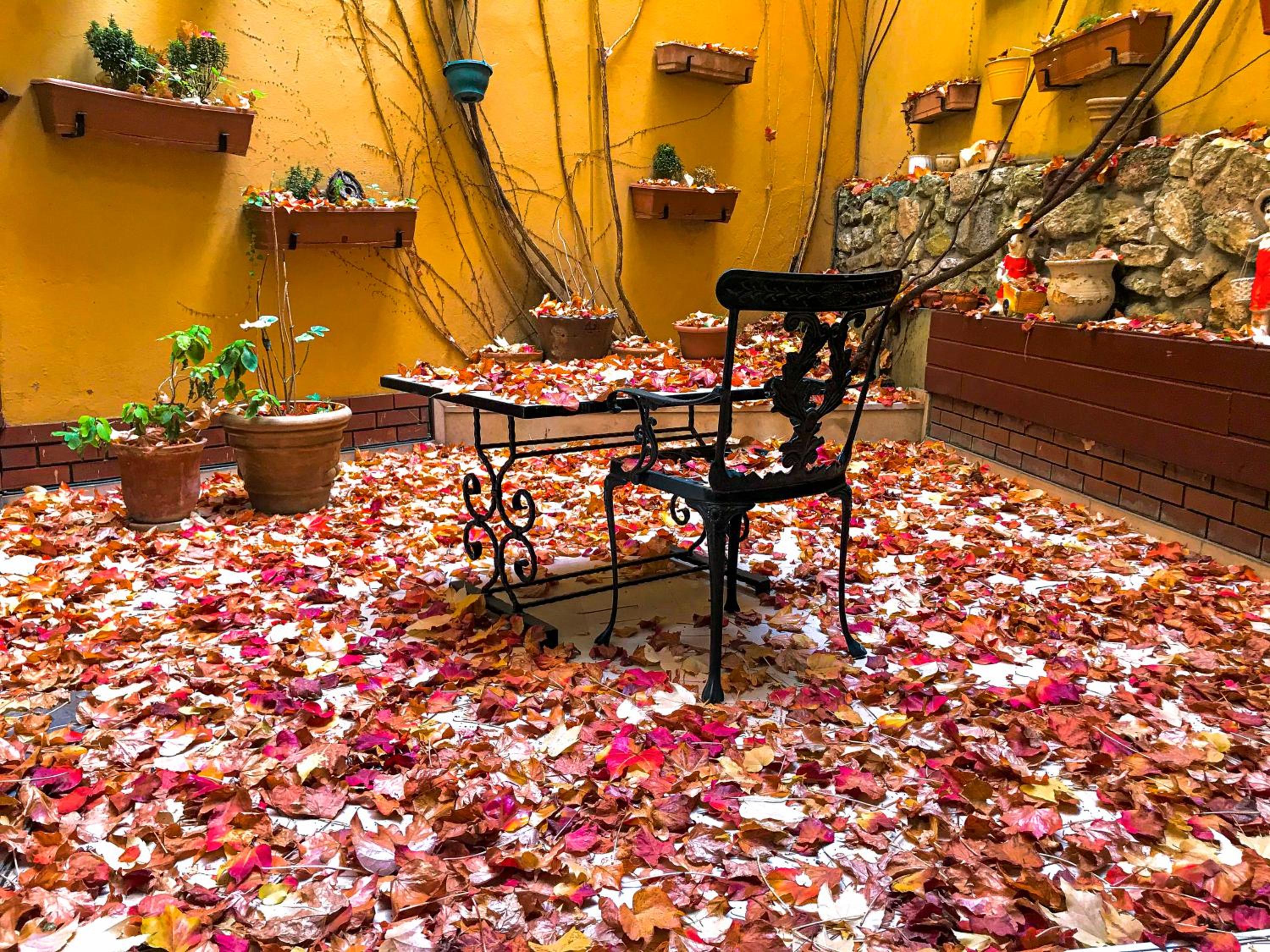 Hotel Erguvan - Special Category - Image 23