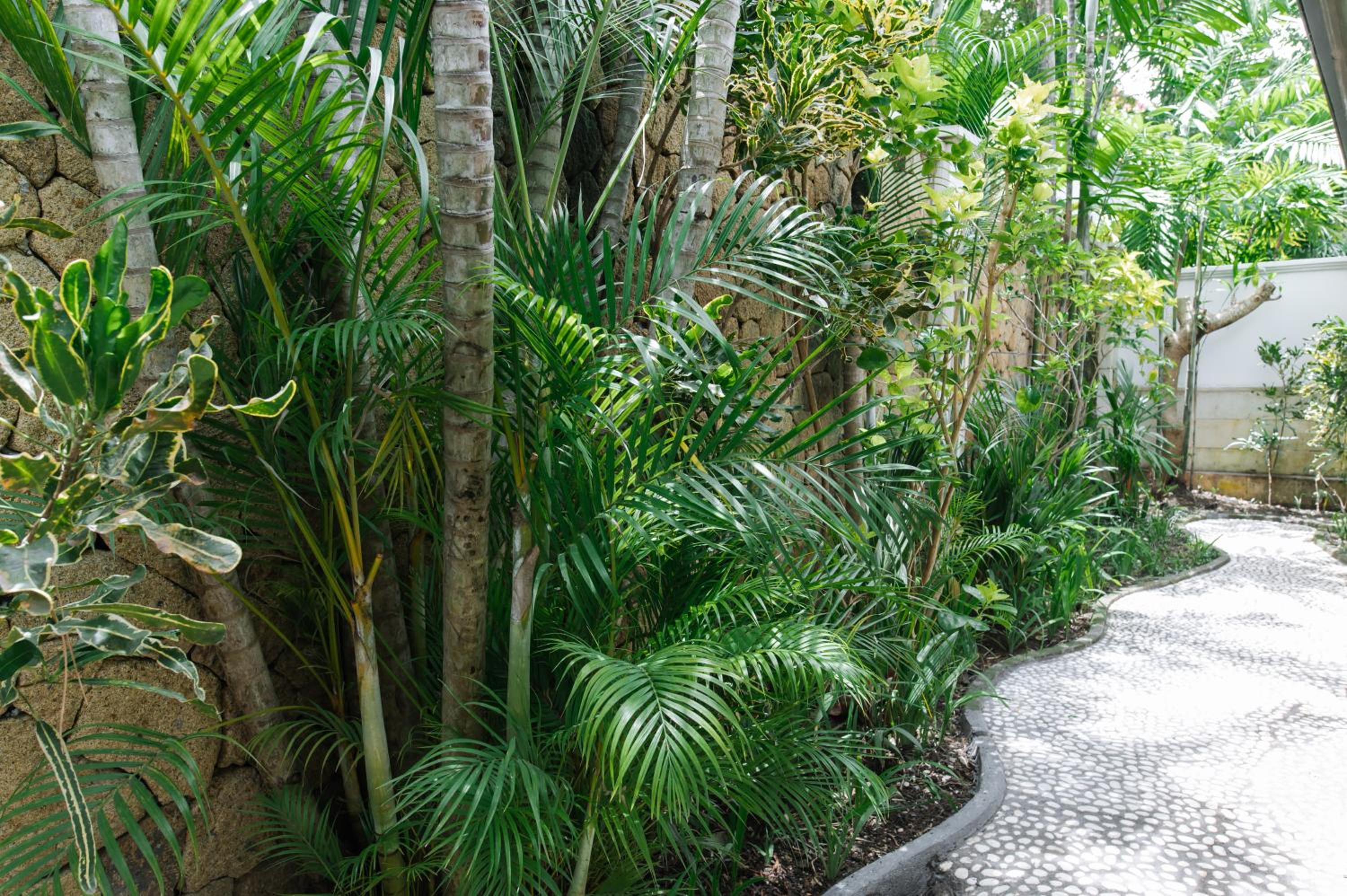 The Zen Villas