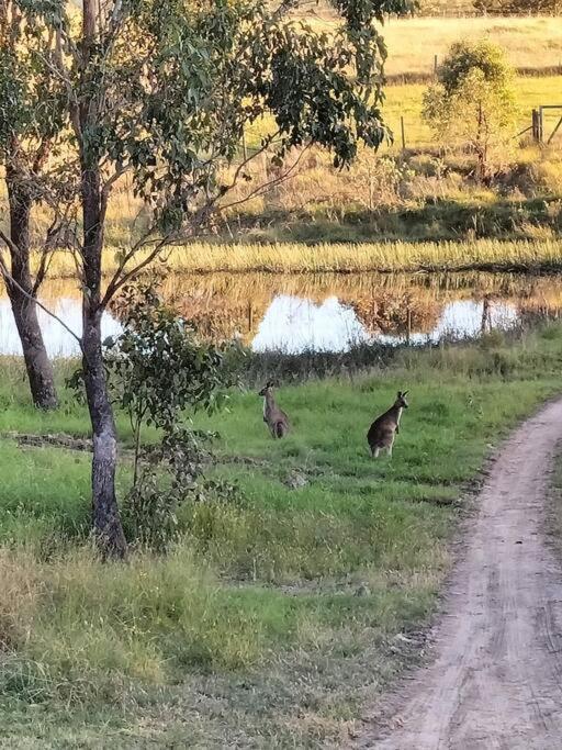 Lambs Valley Guest House.