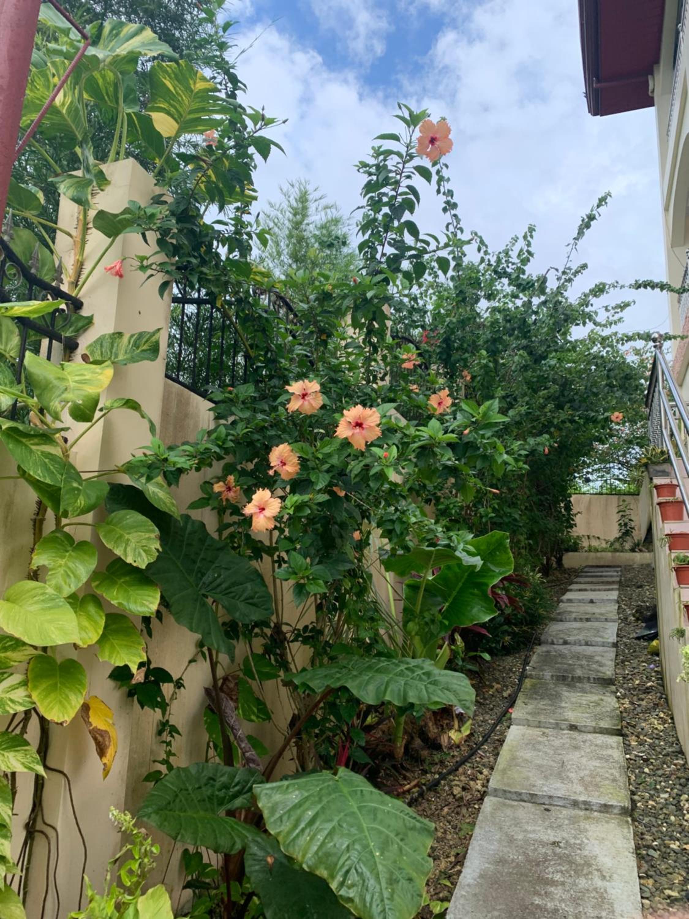 Soul Travellers Dagatan Guesthouse
