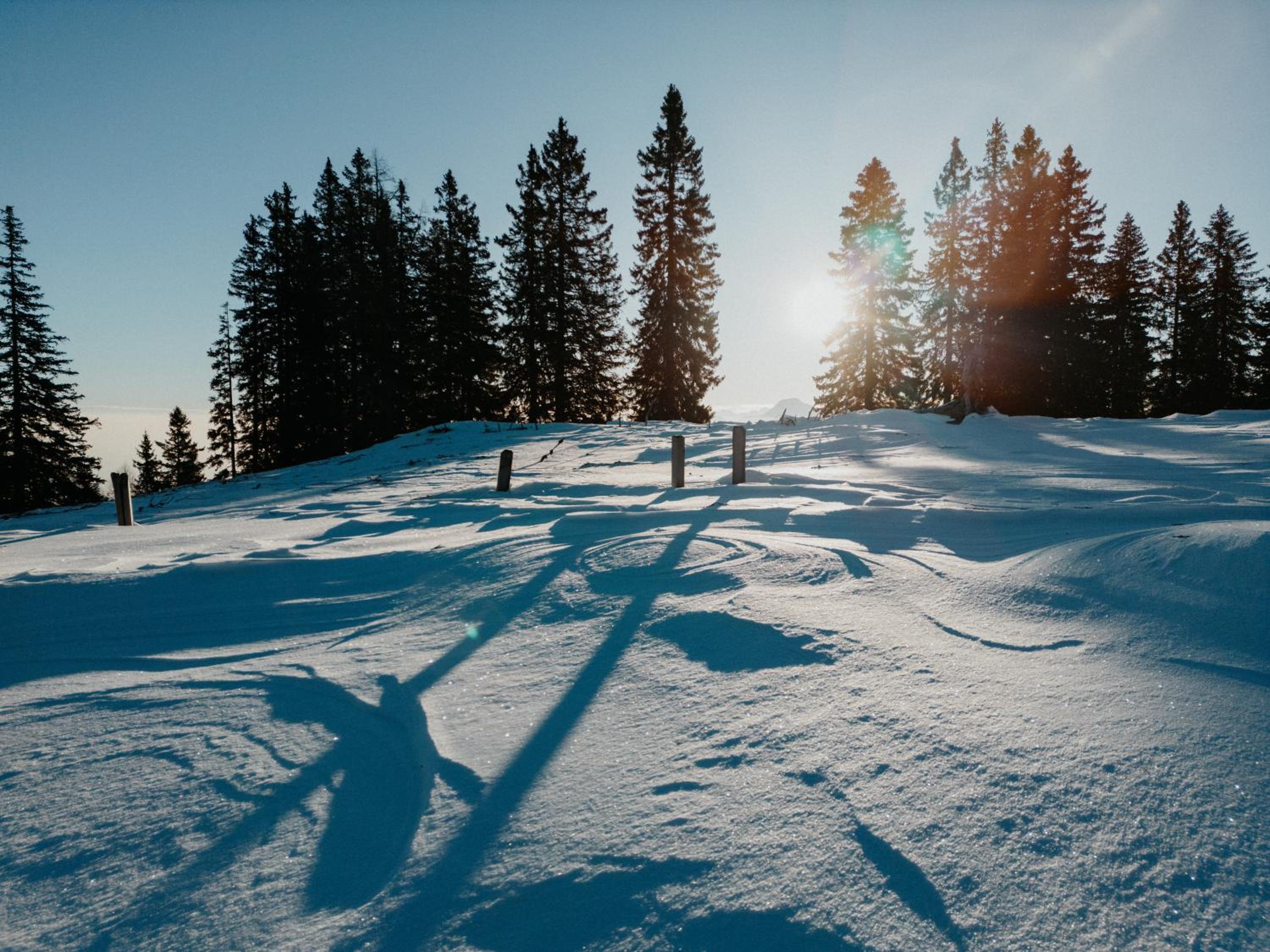 Chalet Knappenhütte