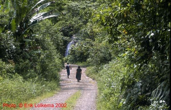 Hacienda Primavera Wilderness Ecolodge view 5