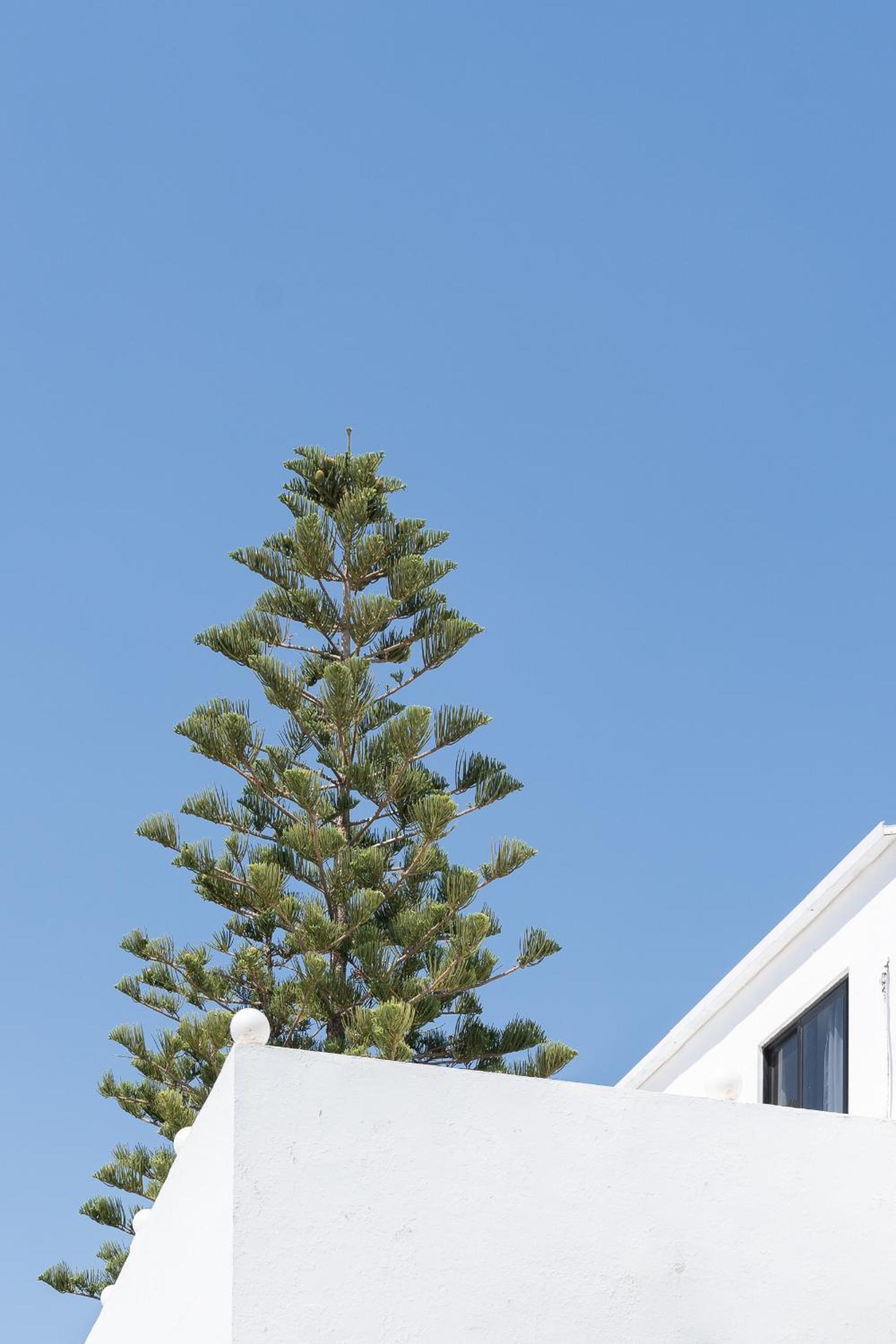 Hotel Absolute Kiotari Resort - Image 1