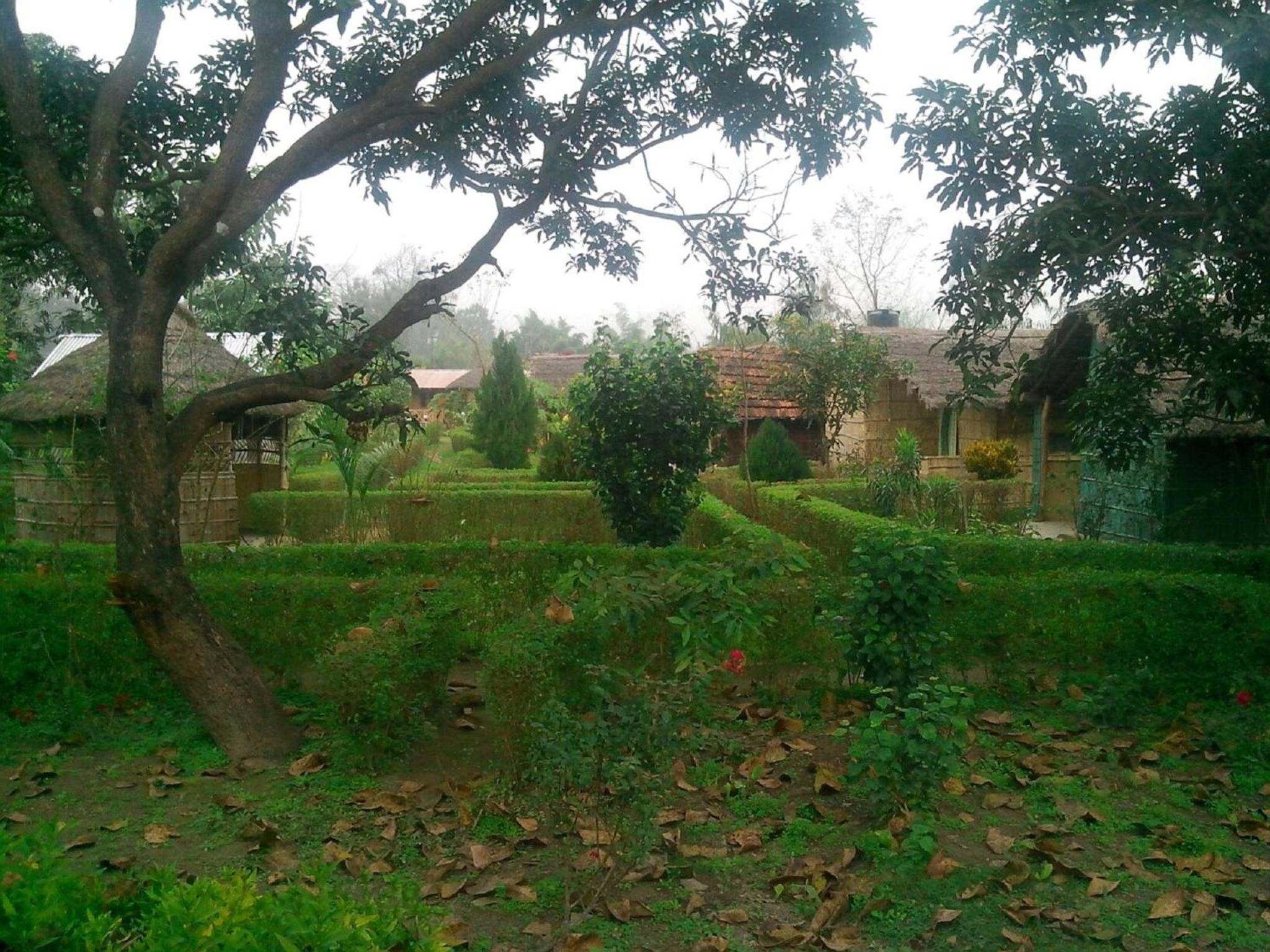 Photo 43