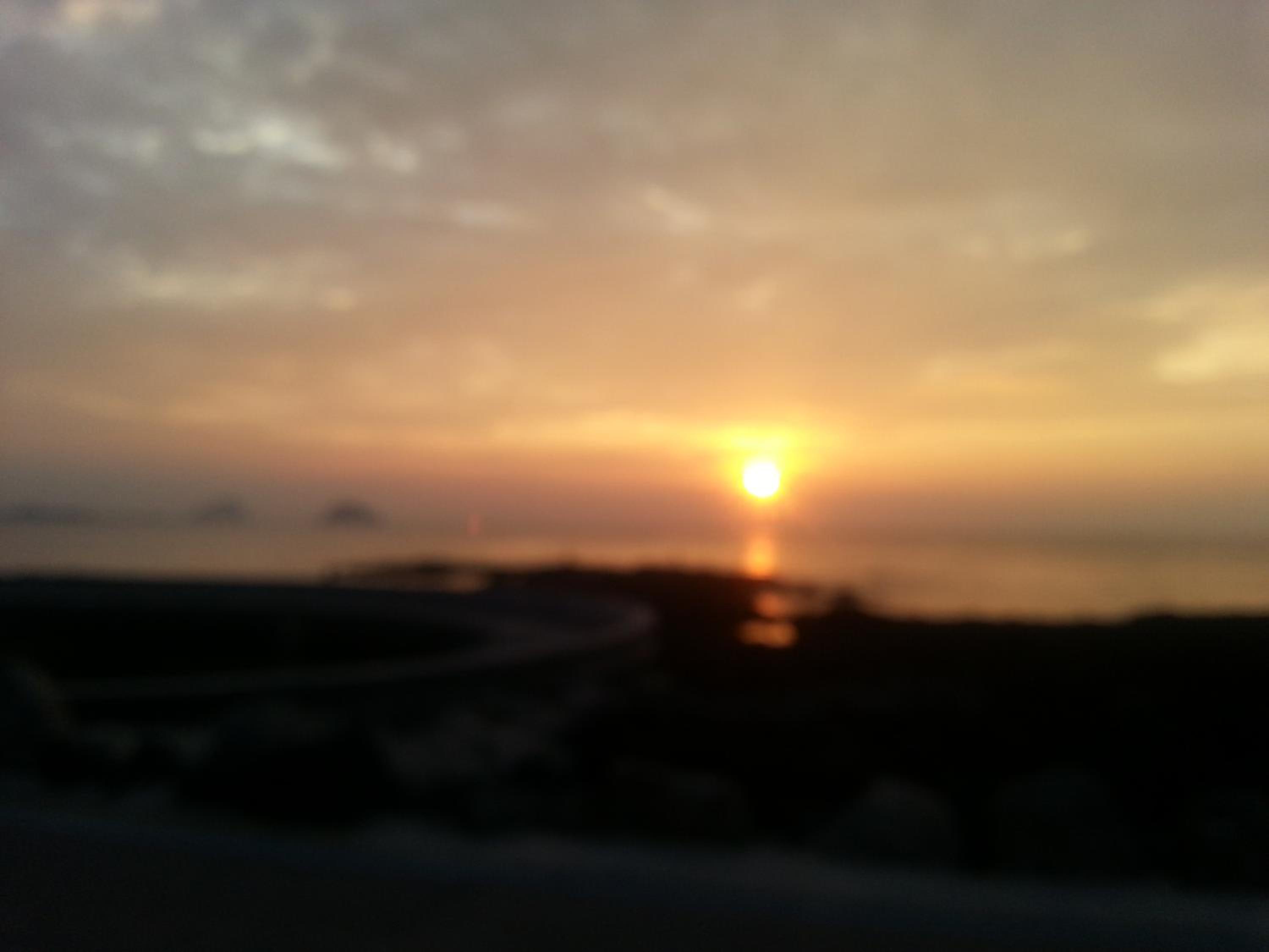 JEJU Amoje