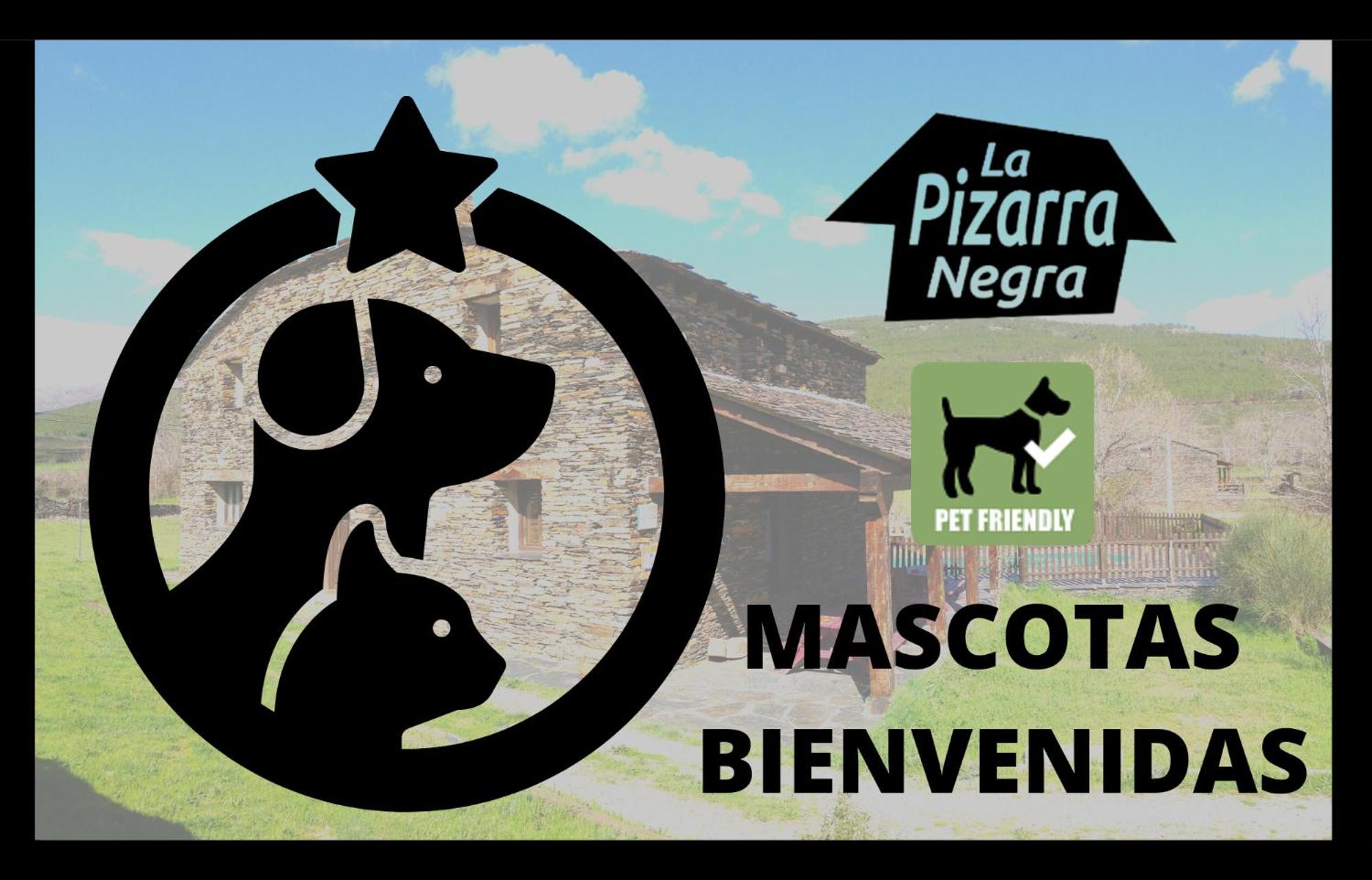 La Pizarra Negra