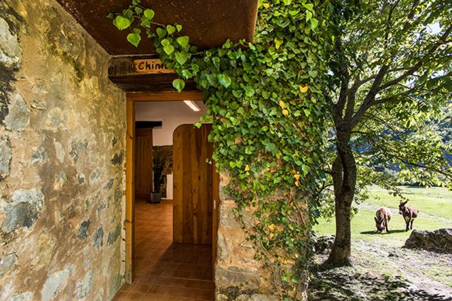 Casas Rurales Molinias