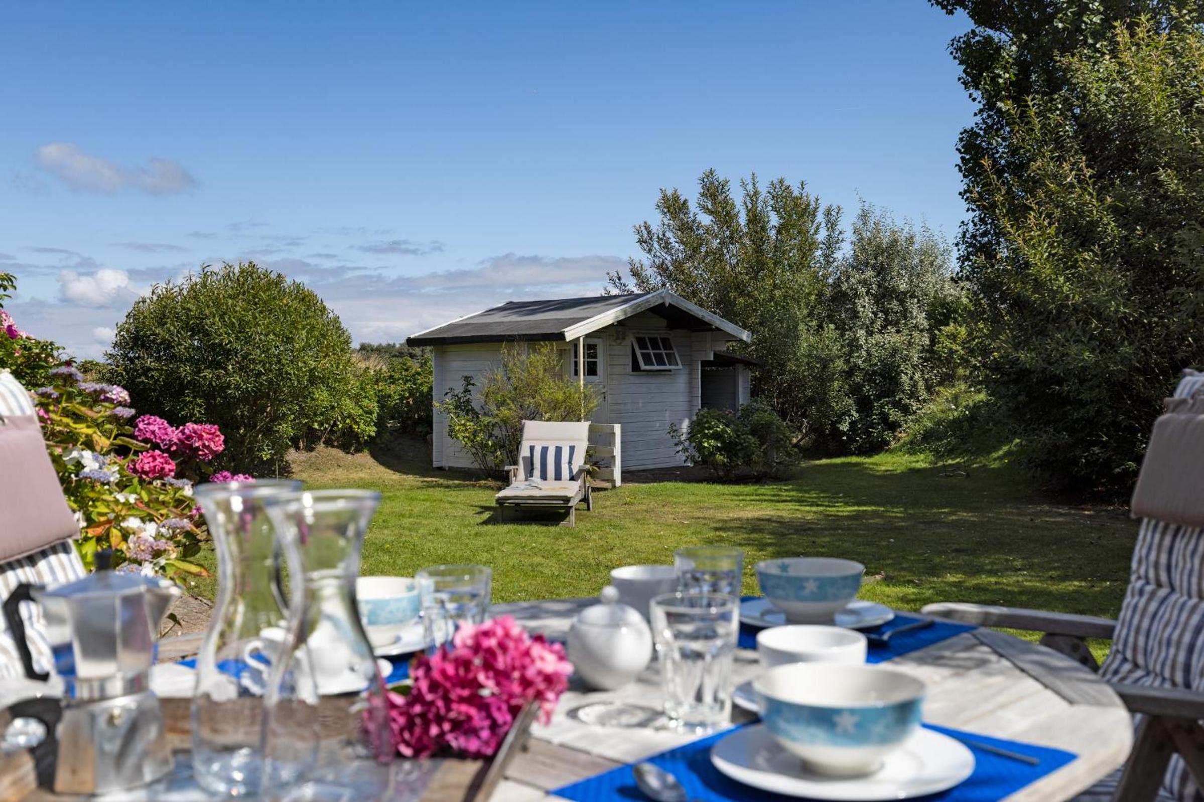 Amata