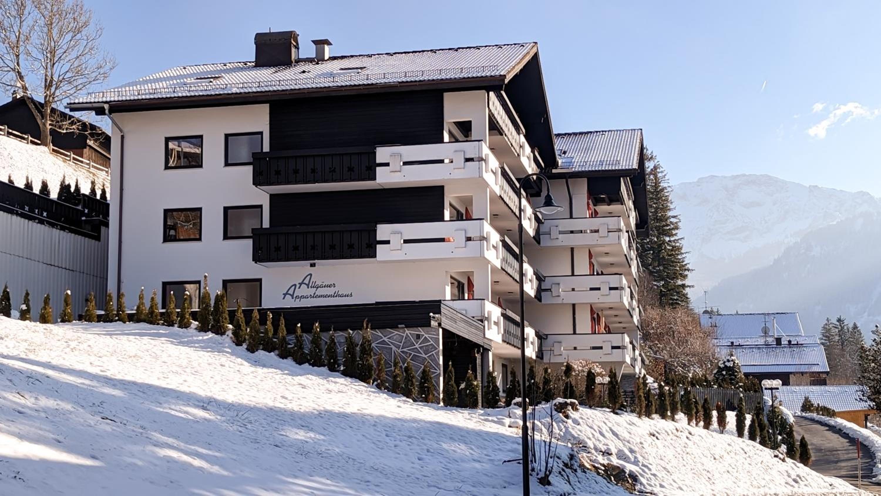 Alpensternchen