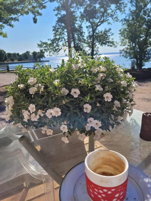 Om chalet 1 avec spa face au fleuve