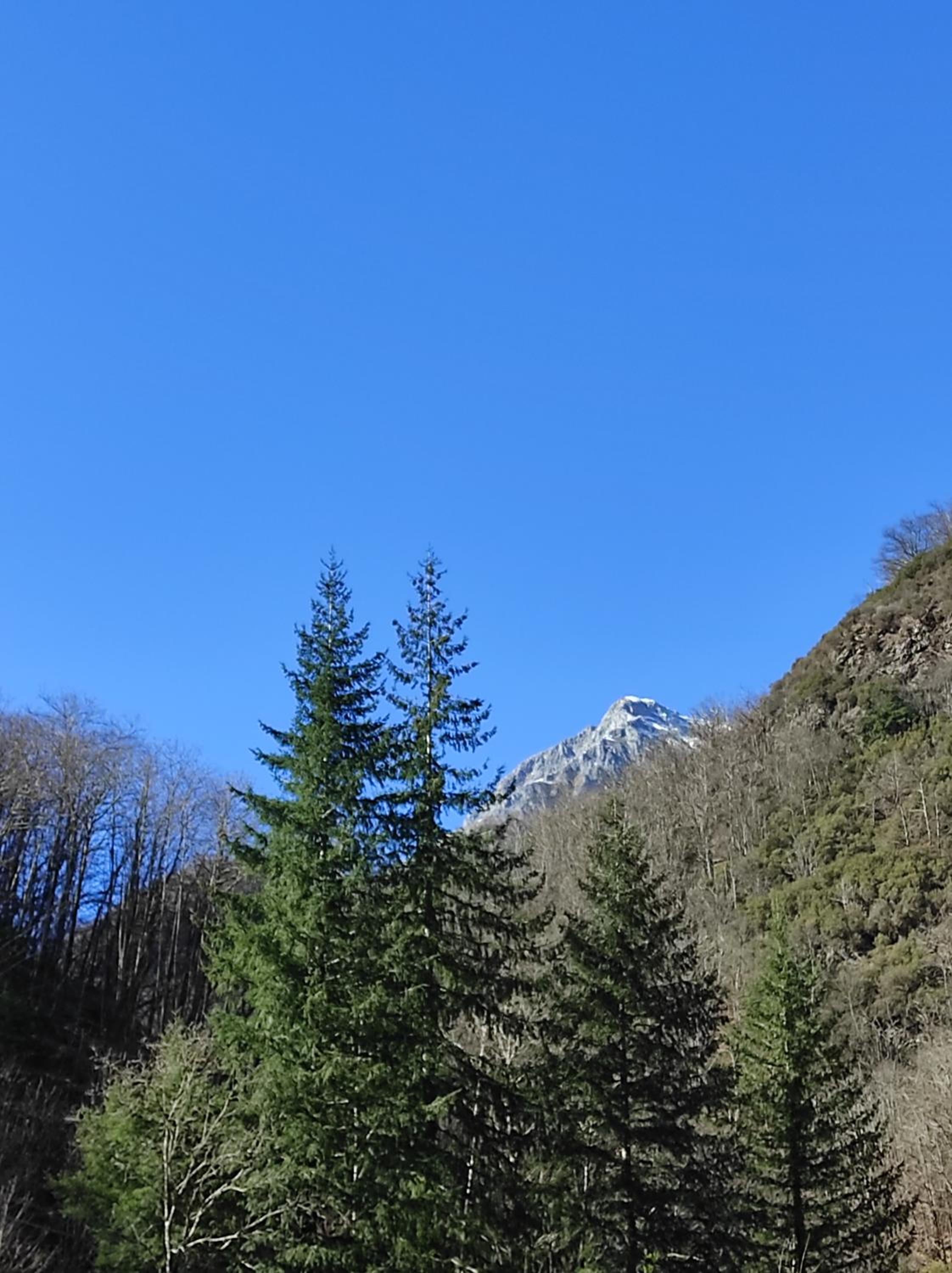 Casa Vacanze IL BOSCACCIO "Casa Serena"