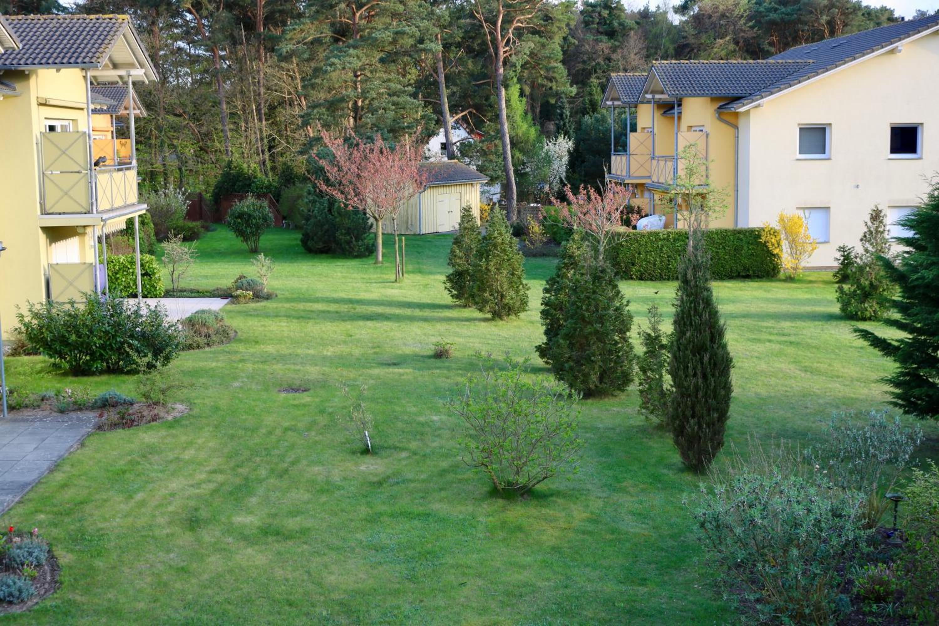 OSTSEEBAD KOSEROW FERIENWOHNUNG PUSTEBLUME, 2-4 Personen