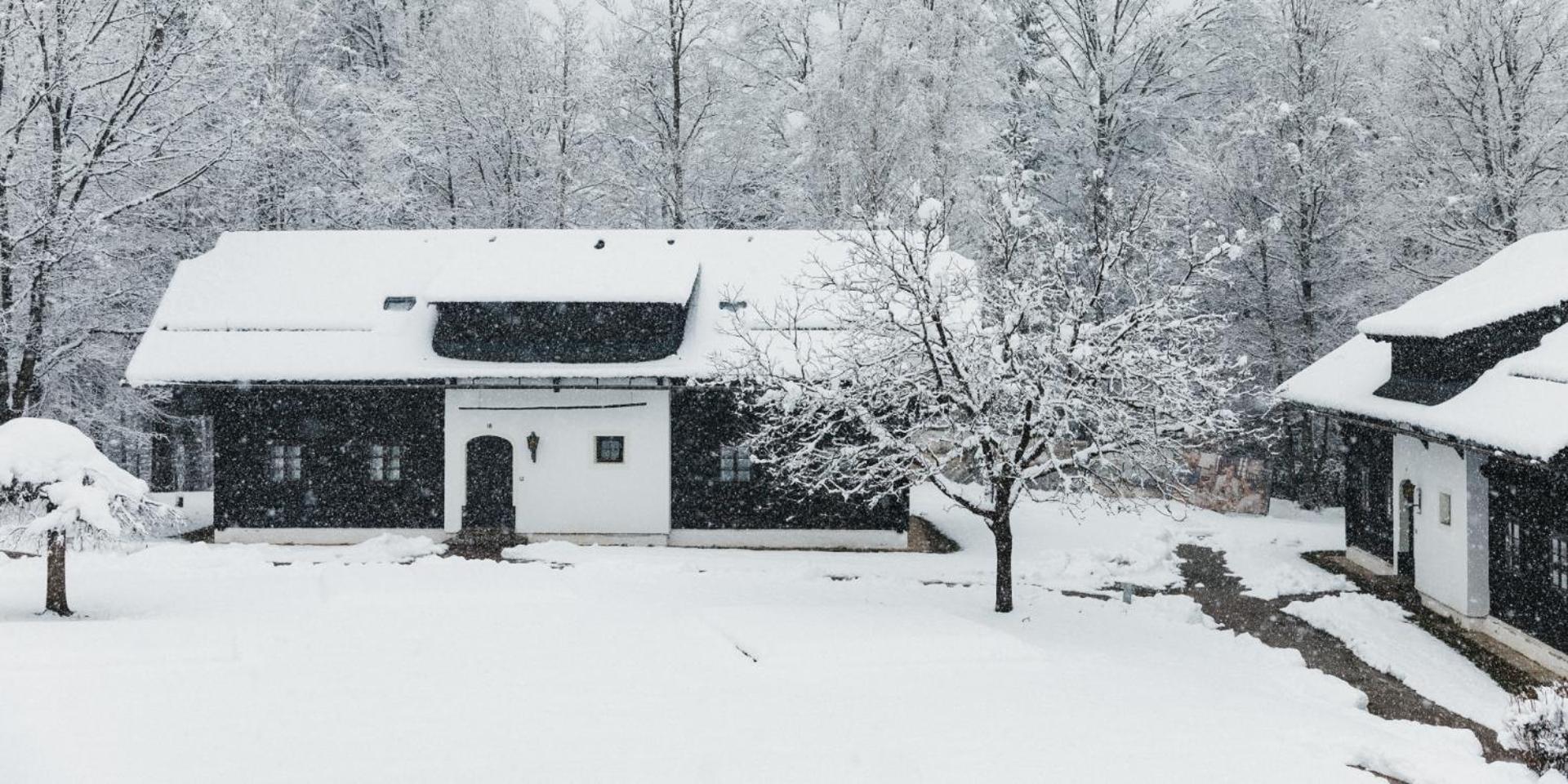 Naturel Hoteldorf Schönleitn
