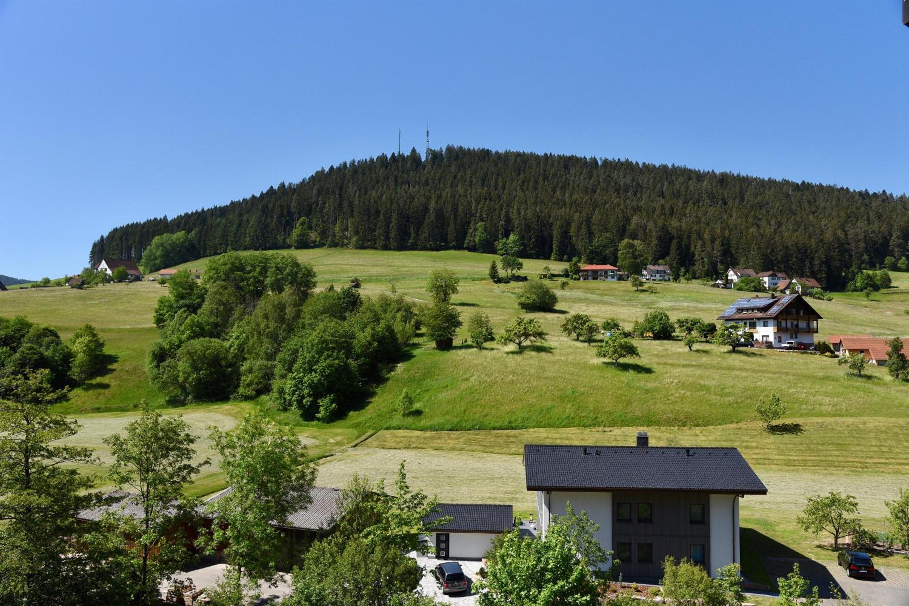 Appartement Vogelkoje Nummer 35