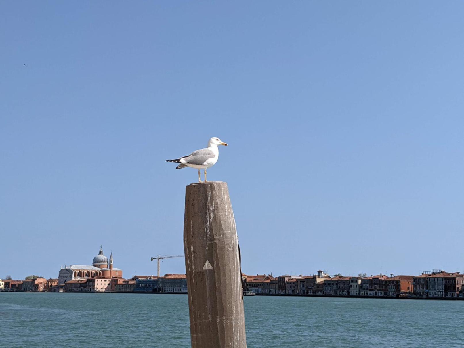 Red Tower Venice Apartment - 2 mins from VCE Airport- free Wifi view 5