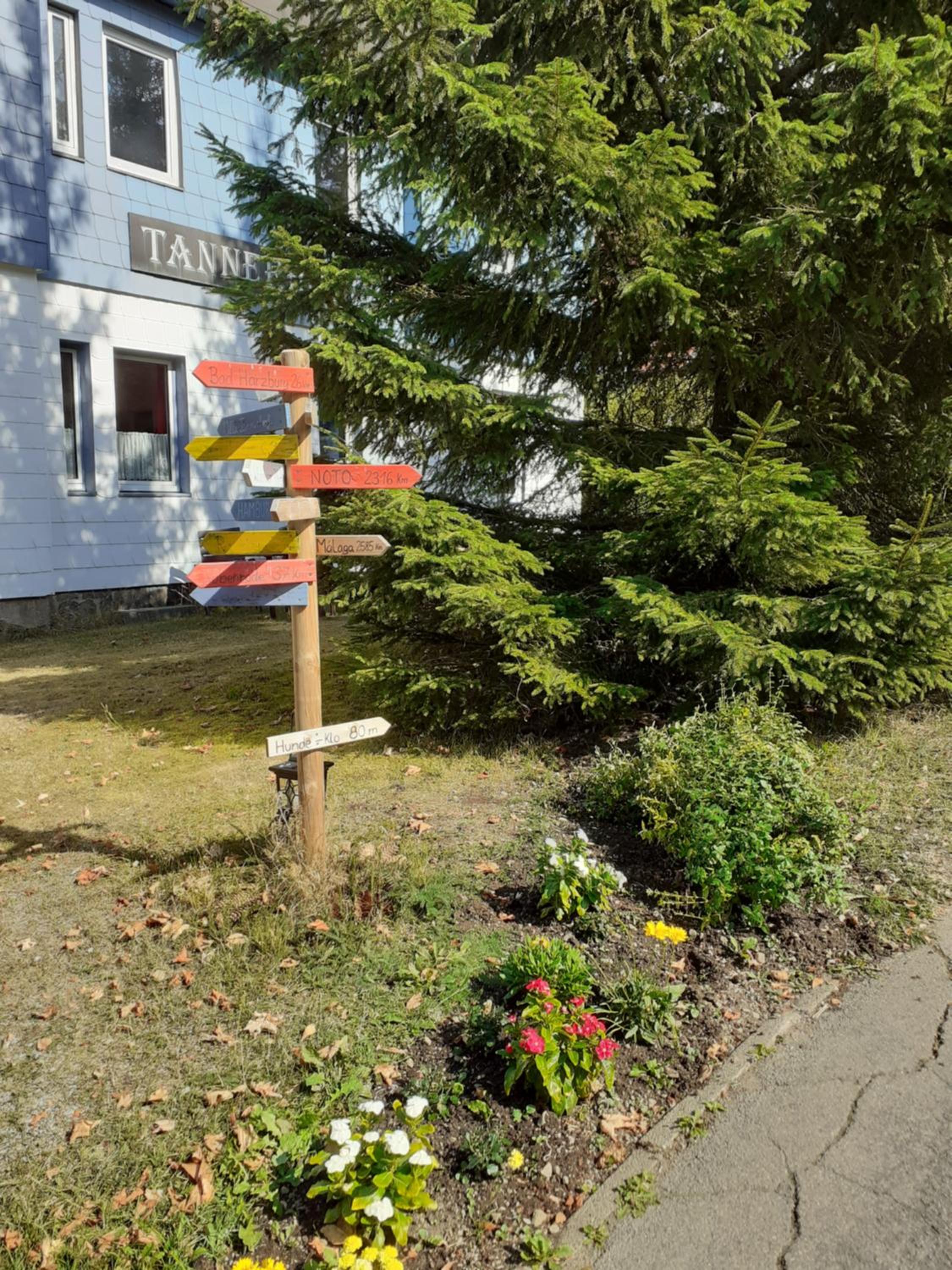 Photo 39