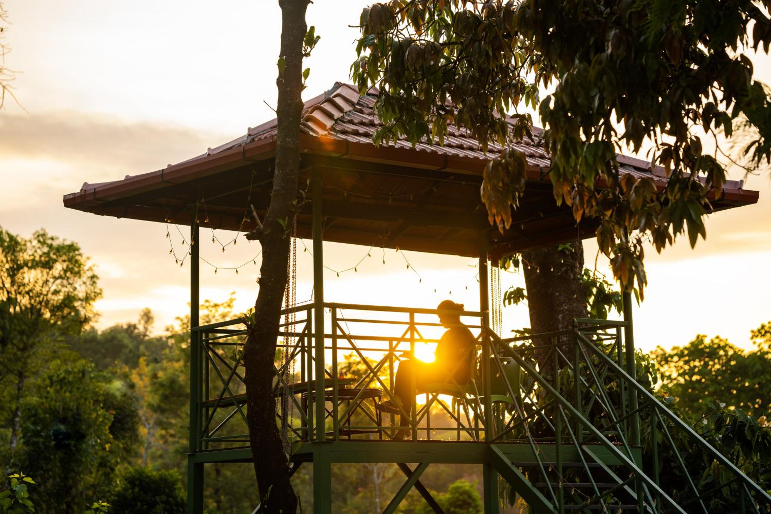 Zostel Coorg, Madikeri view 5