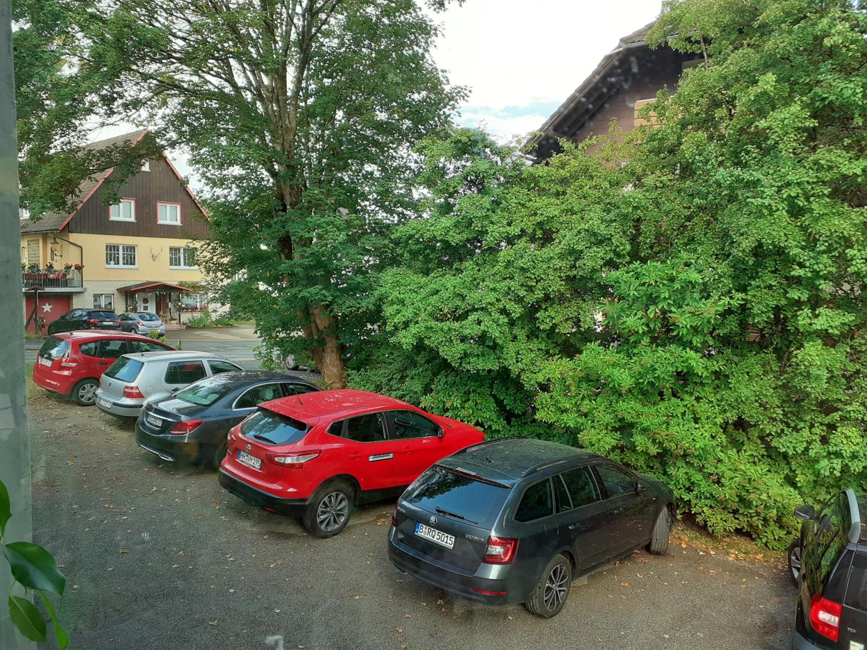 Photo 48