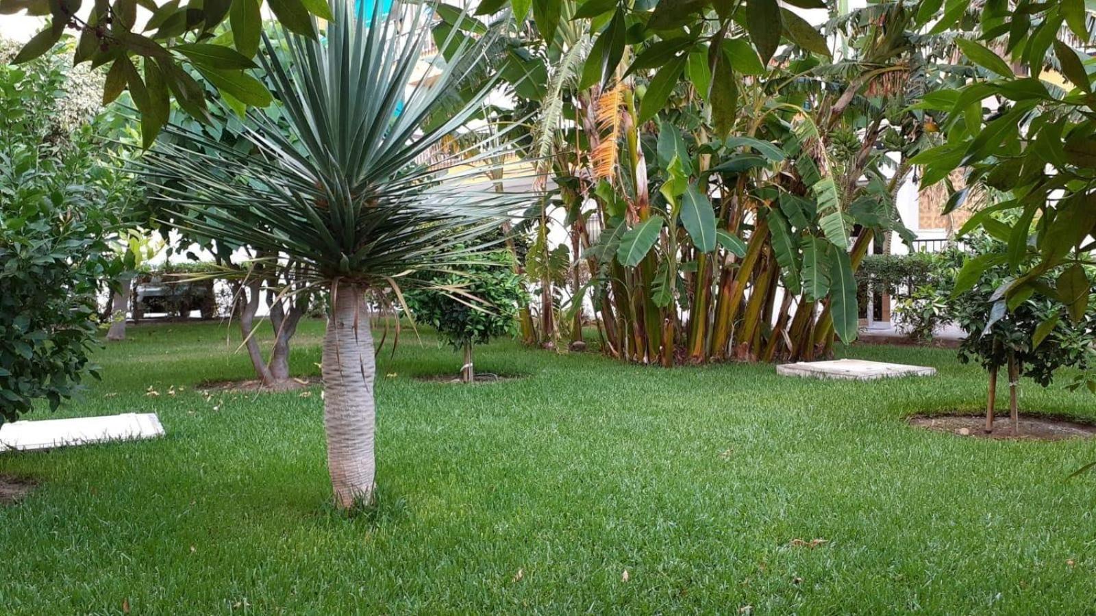Rincon Mediterraneo