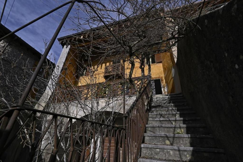 Photo 44