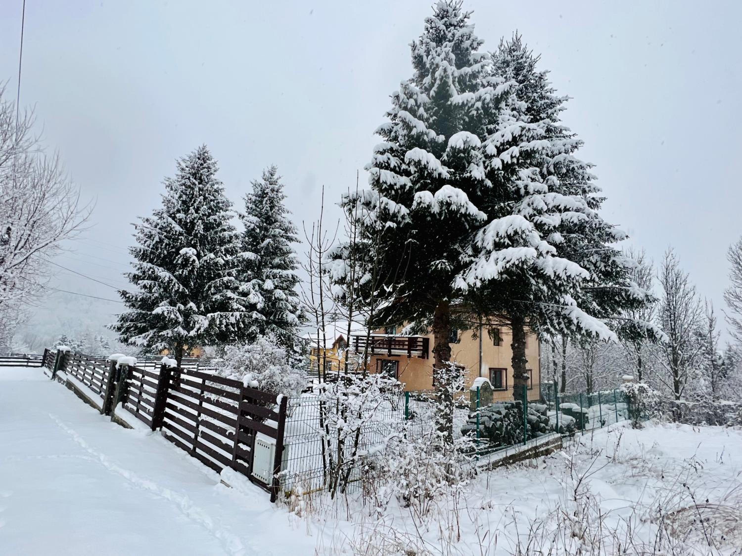 The View Sinaia-Busteni view 4