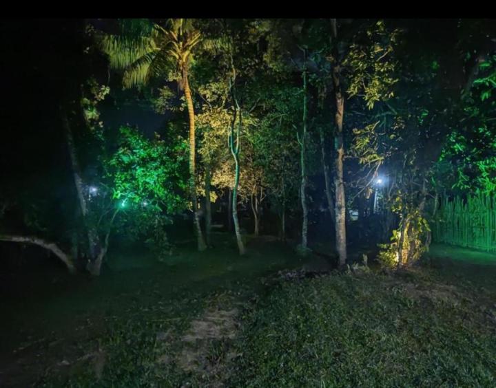 Green Garden Hiriketiya view 3