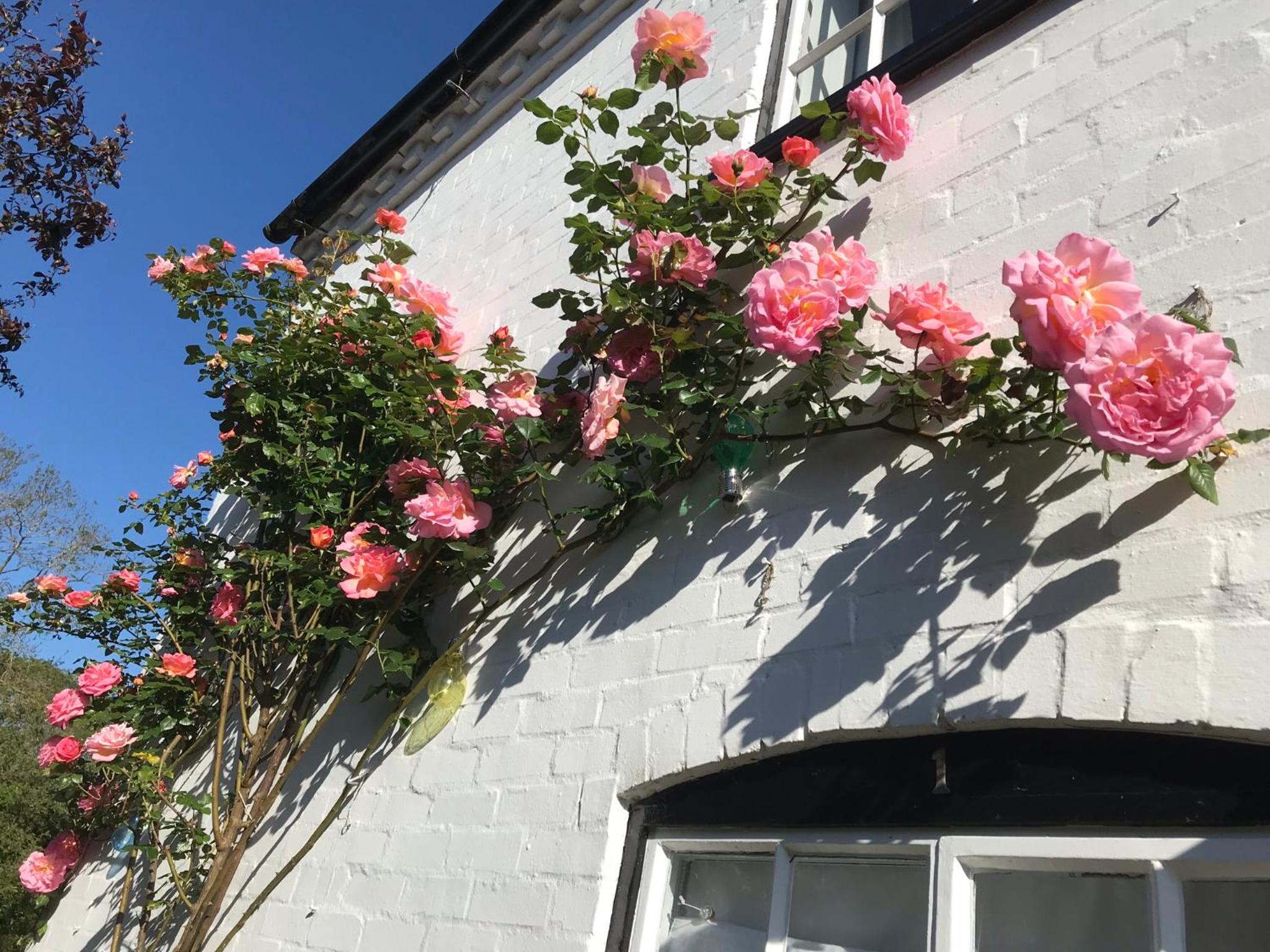 Idyllic Stratford upon Avon cottage view 4