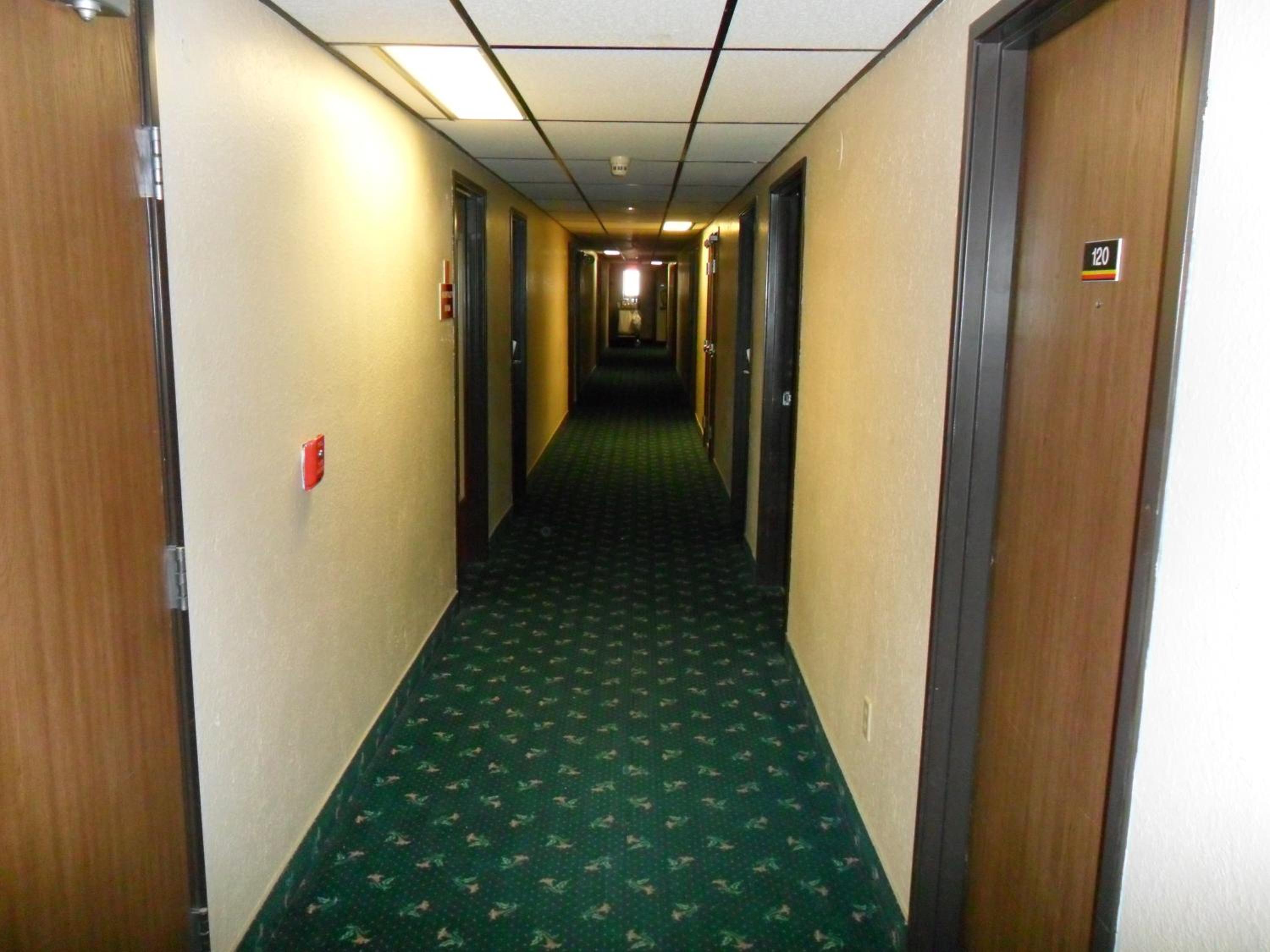 Photo 19