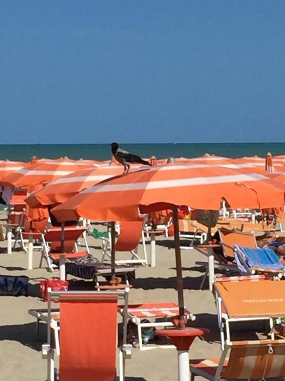 Borgo Sul Mare 