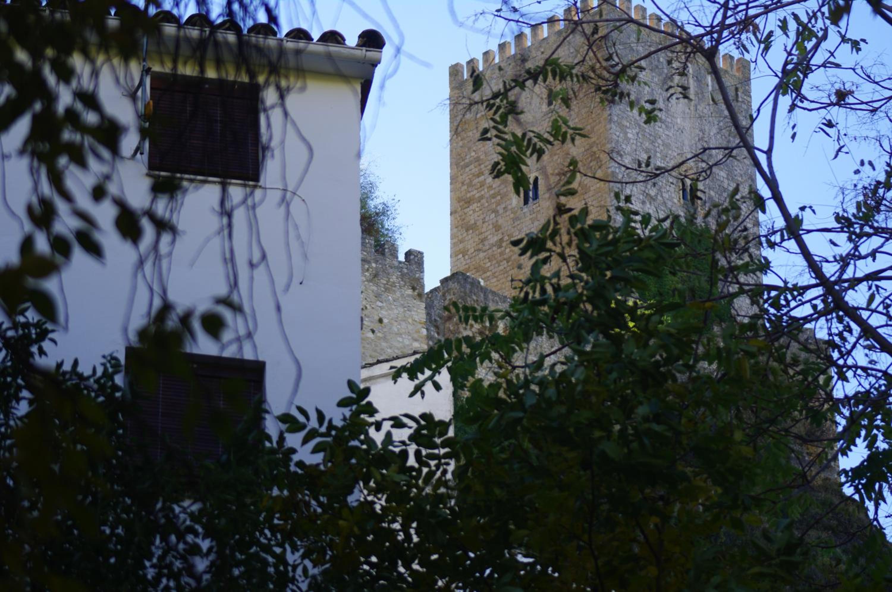 Photo 28